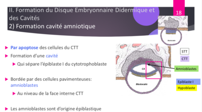 Capture d’écran 2020-08-21 à 20.55.28.png