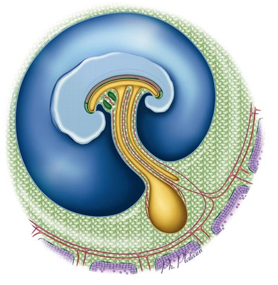 Capture d’écran 2011-11-15 à 19.24.49.png