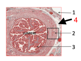 Capture d’écran 2020-09-03 à 16.43.12.png