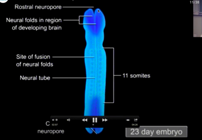 Capture d’écran 2020-09-09 à 20.36.46.png