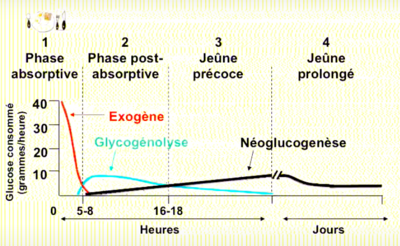 Capture d’écran 2020-09-13 à 14.29.50.png