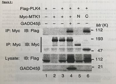 Extrait annale 2019.jpg