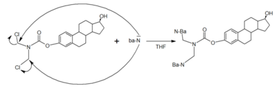 DM 2018 Représentatif 2.PNG