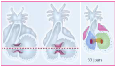 Capture d’écran 2020-09-30 à 21.46.38.png