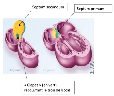 Capture d’écran 2020-09-30 à 22.08.34.png