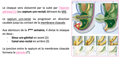 Capture d’écran 2020-10-02 à 13.22.15.png
