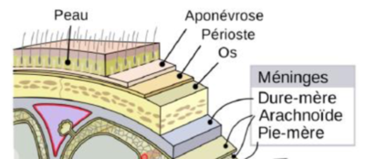 Capture d’écran 2020-10-03 à 11.38.58.png