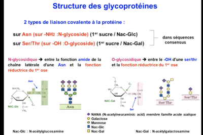 Capture d’écran 2020-10-03 à 14.05.01.png
