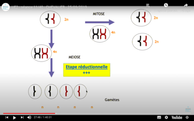 Capture d’écran 2020-10-05 à 12.40.34.png