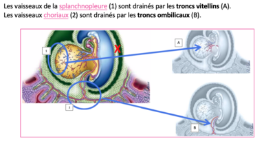 Capture d’écran 2020-10-05 à 14.30.32.png