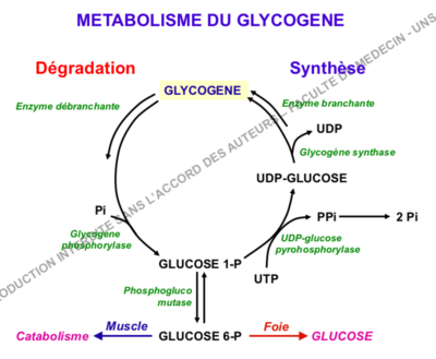 Capture d’écran 2020-10-05 à 16.17.48.png
