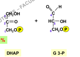 Capture d’écran 2020-10-07 à 18.00.47.png