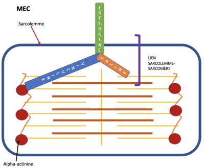 Capture d’écran 2020-10-11 à 13.47.15.png