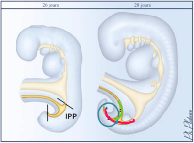Capture d’écran 2020-10-11 à 20.26.24.png