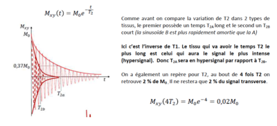 Capture d’écran 2020-10-16 à 16.10.55.png