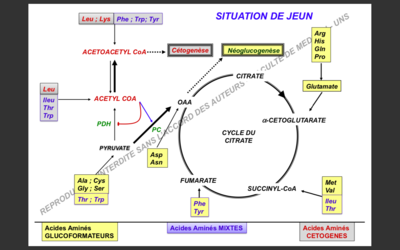 Capture d’écran 2020-10-19 à 17.15.09.png