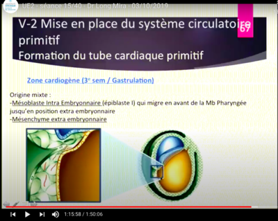 Capture d’écran 2020-10-20 à 12.19.53.png