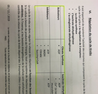 Capture d’écran 2020-10-22 à 18.33.46.png