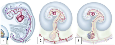 Capture d’écran 2020-10-26 à 11.42.08.png