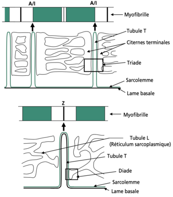 Capture d’écran 2020-10-26 à 19.43.36.png
