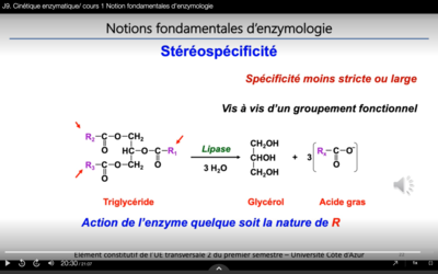 Capture d’écran 2020-10-28 à 21.32.19.png