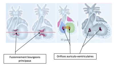 Capture d’écran 2020-10-29 à 00.36.40.png
