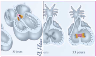 Capture d’écran 2020-10-29 à 10.08.42.png