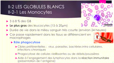 Capture d’écran 2020-10-31 à 12.38.26.png