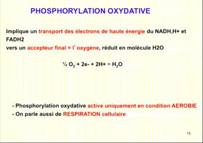 Capture d’écran 2020-11-02 à 11.16.38.png