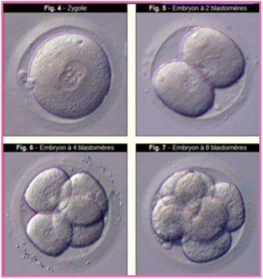 Capture d’écran 2020-11-02 à 14.49.14.png