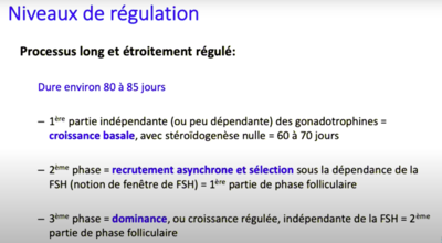 Capture d’écran 2020-11-05 à 21.22.07.png