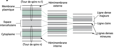 Capture d’écran 2020-11-08 à 16.11.25.png