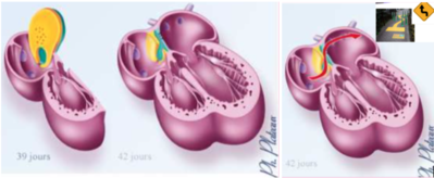 Capture d’écran 2020-11-08 à 16.15.19.png