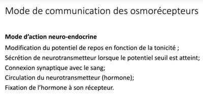 Mode de communication des osmorécepteurs.jpg