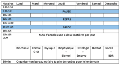 Modèle planning de révisions.png