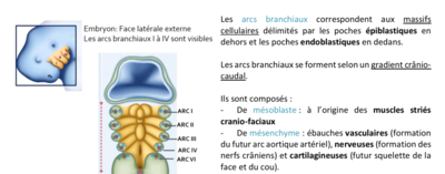 Capture d’écran 2020-11-10 à 19.12.27.png