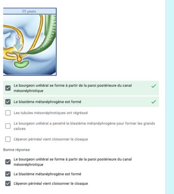 Capture d’écran 2020-11-10 à 12.55.14.png