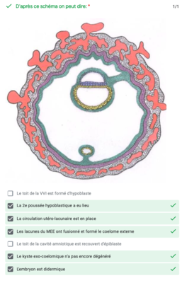 Capture d’écran 2020-11-10 à 21.13.58.png