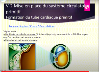 Capture d’écran 2020-11-11 à 19.00.24.png
