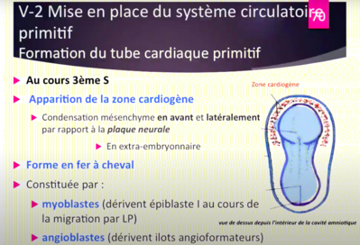 Capture d’écran 2020-11-11 à 19.10.32.png