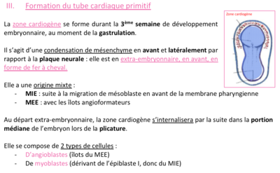 Capture d’écran 2020-11-11 à 21.48.24.png