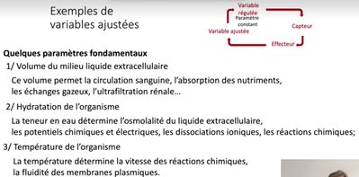 Exemples de variables ajustées.jpg