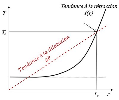 rayon d'équilibre.jpg