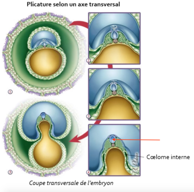 Capture d’écran 2020-11-15 à 16.58.37.png