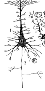 Image 7.png