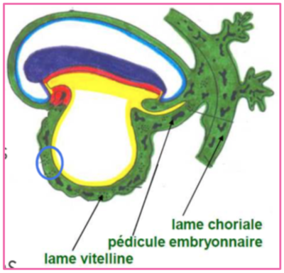 Capture d’écran 2020-11-18 à 09.12.07.png