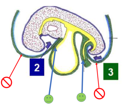 Capture d’écran 2020-11-18 à 09.26.48.png