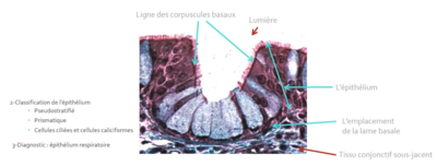 Capture d’écran 2020-11-18 à 11.53.09.png