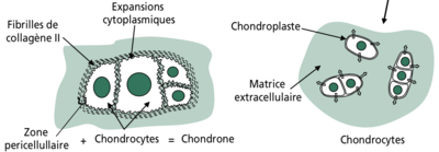 Capture d’écran 2020-11-18 à 20.05.12.png
