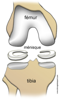 Capture d’écran 2020-11-19 à 09.47.30.png
